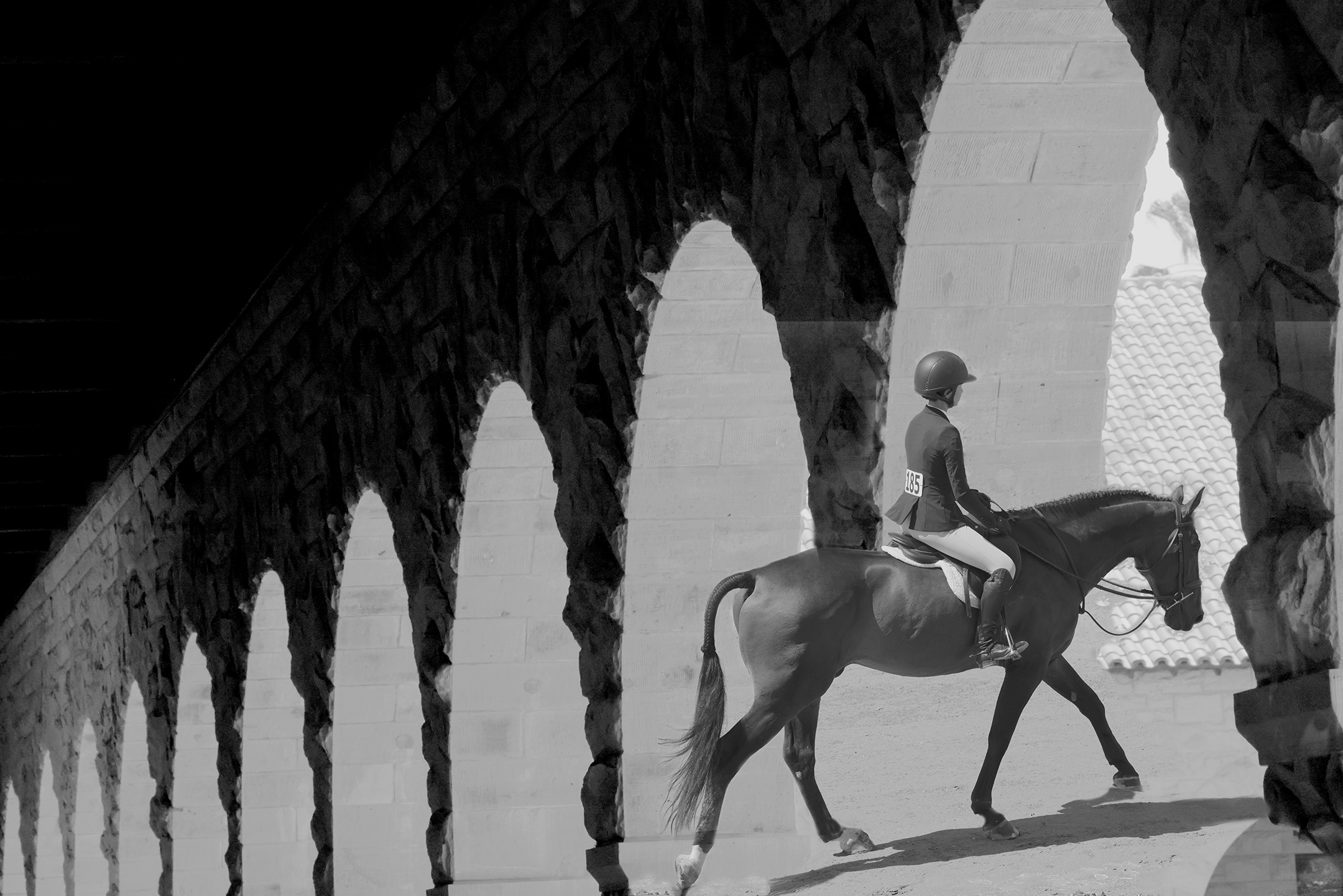 Black and white photograph of horse walking under arches. 