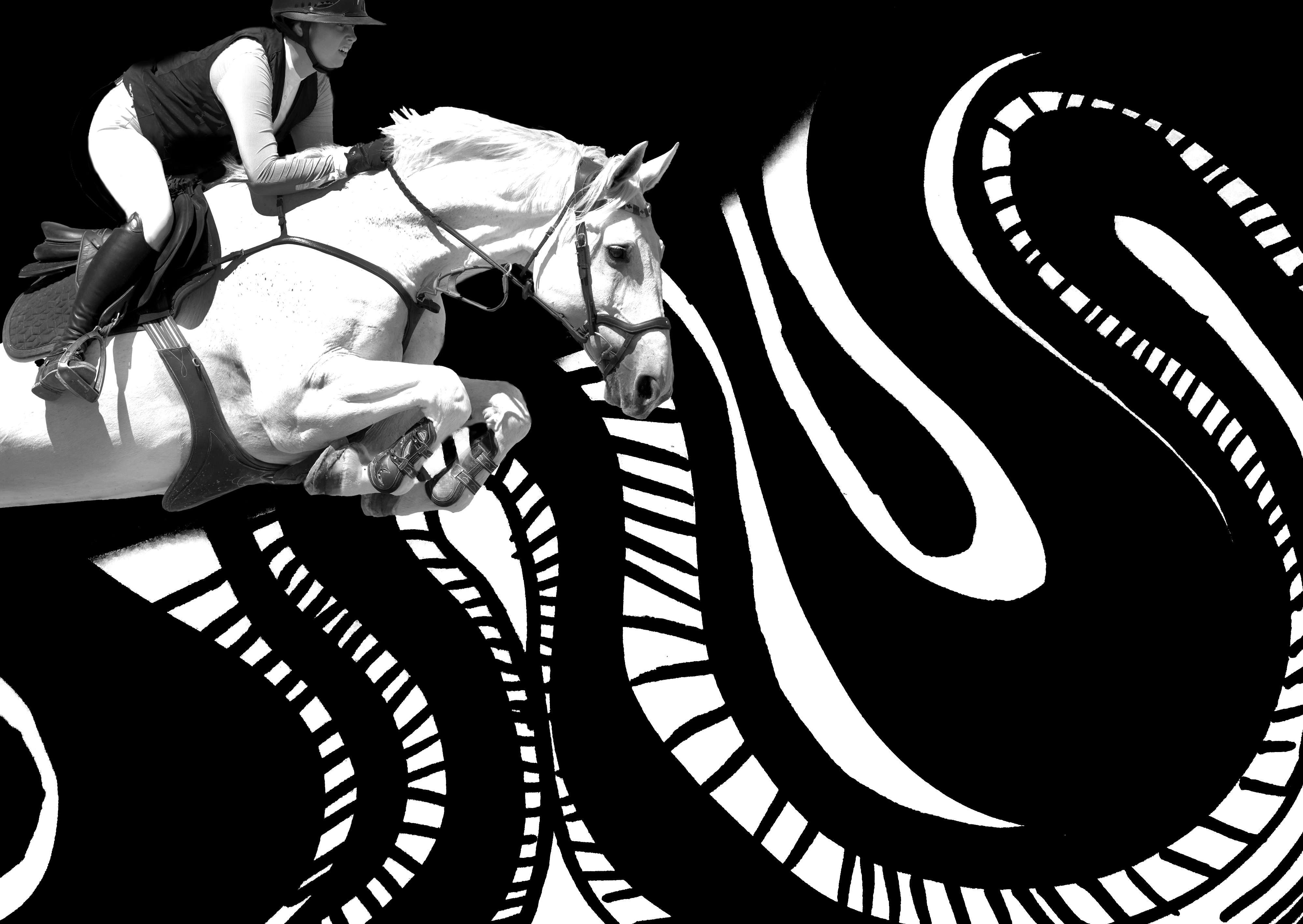 SURREAL HORSE MIXED MEDIA