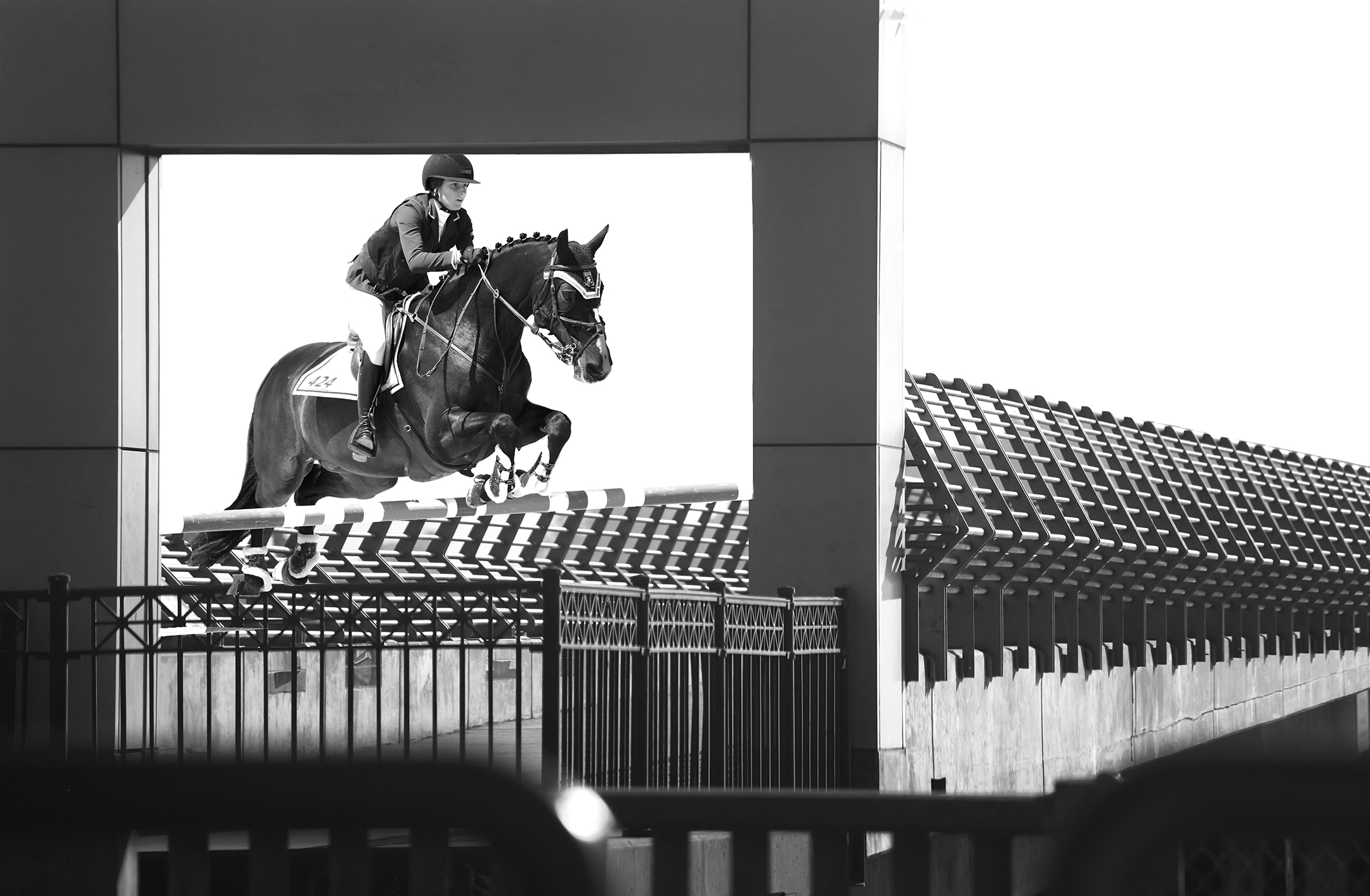 Horse jumping in a geometric background.