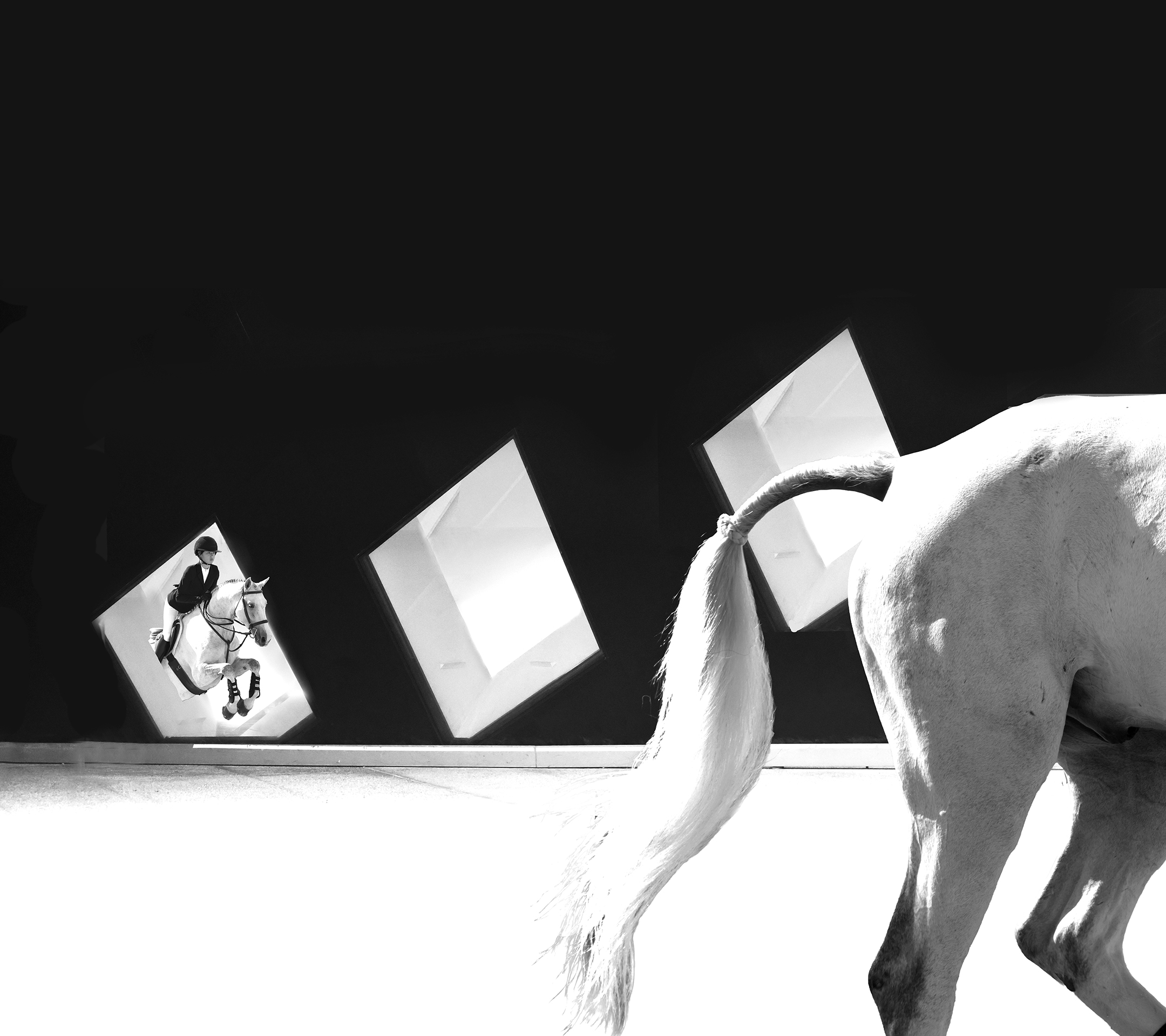 surreal HORSE art
