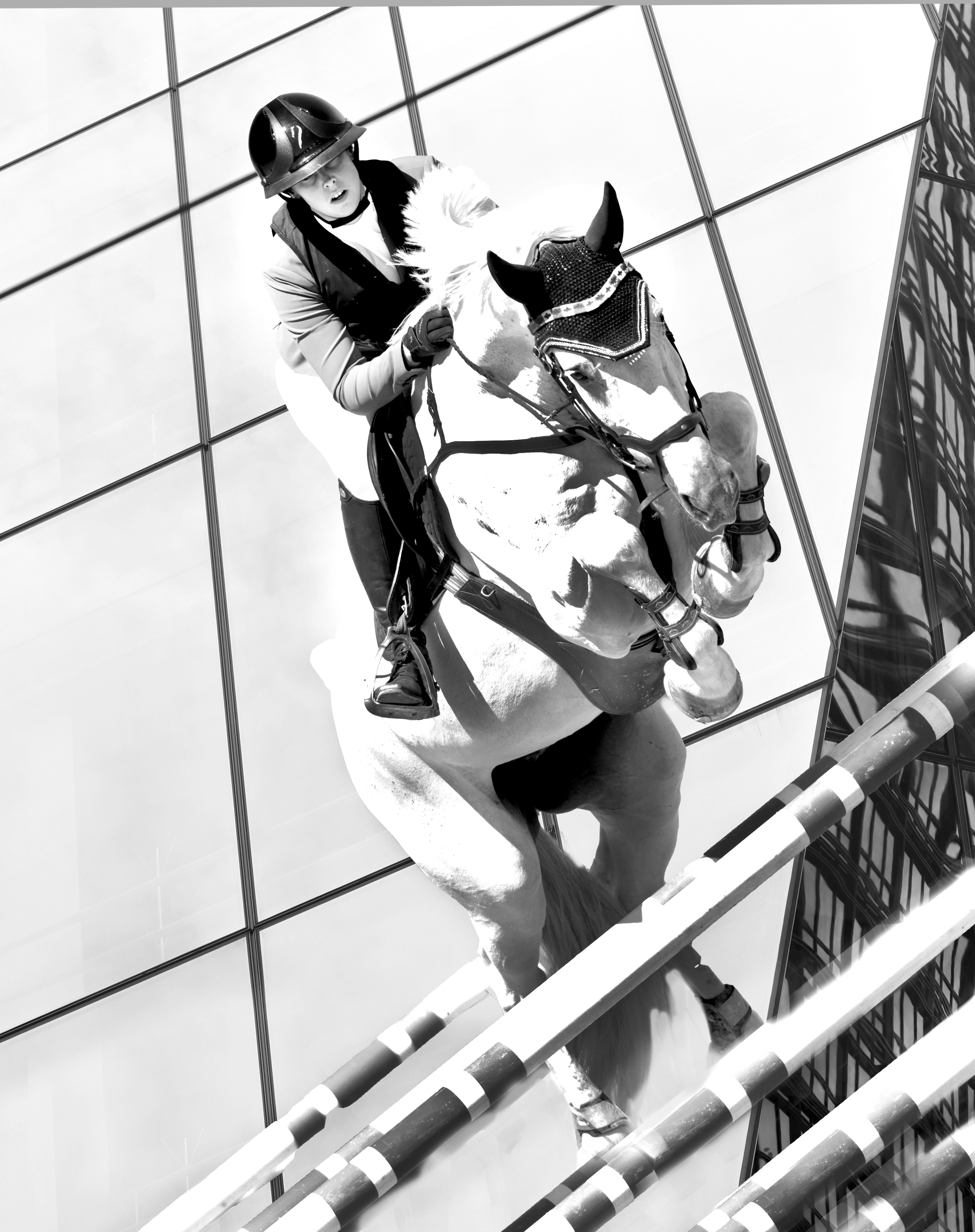 White horse jumping in graphic background