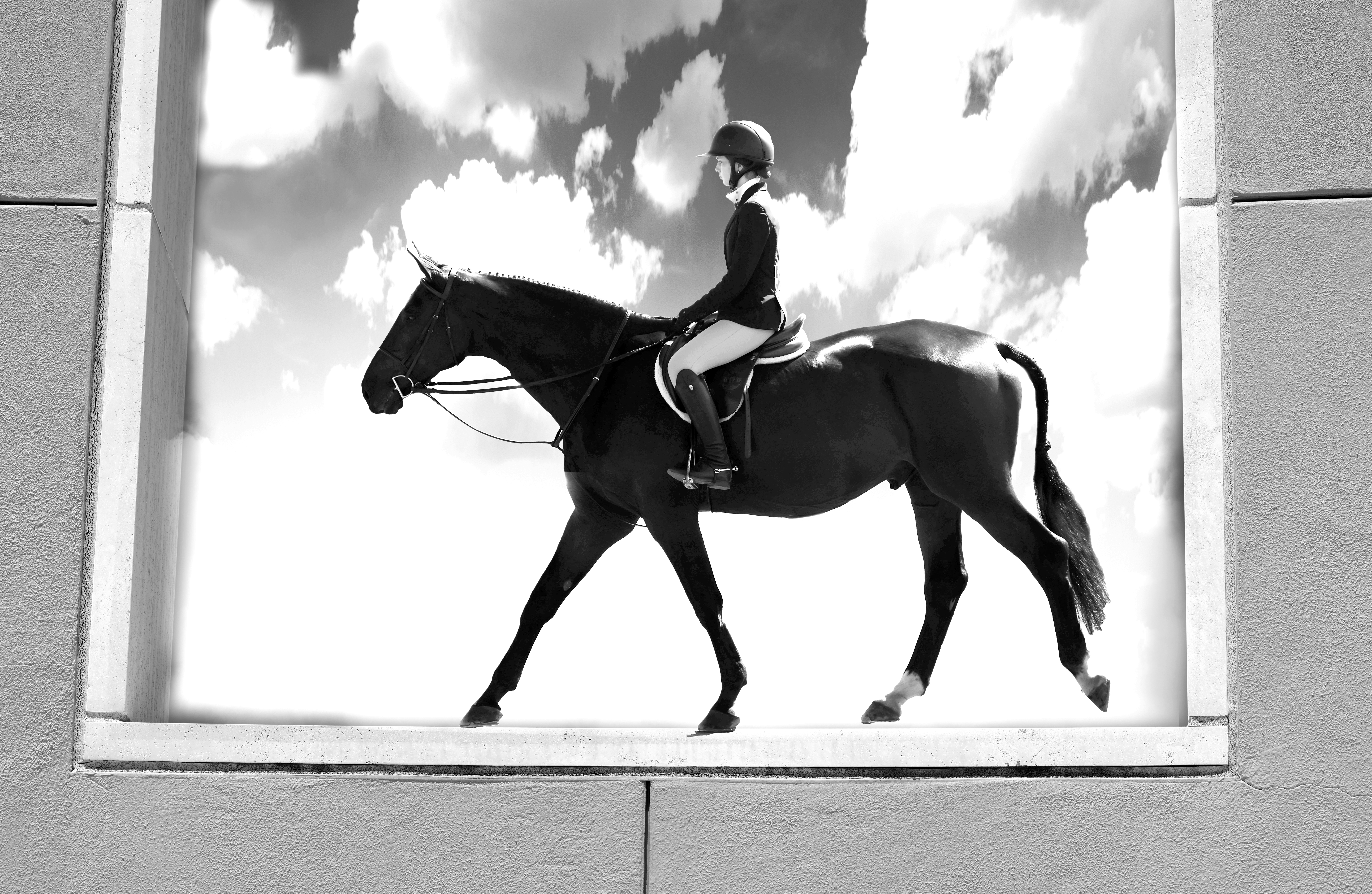 Photo of horse shadow among clouds.