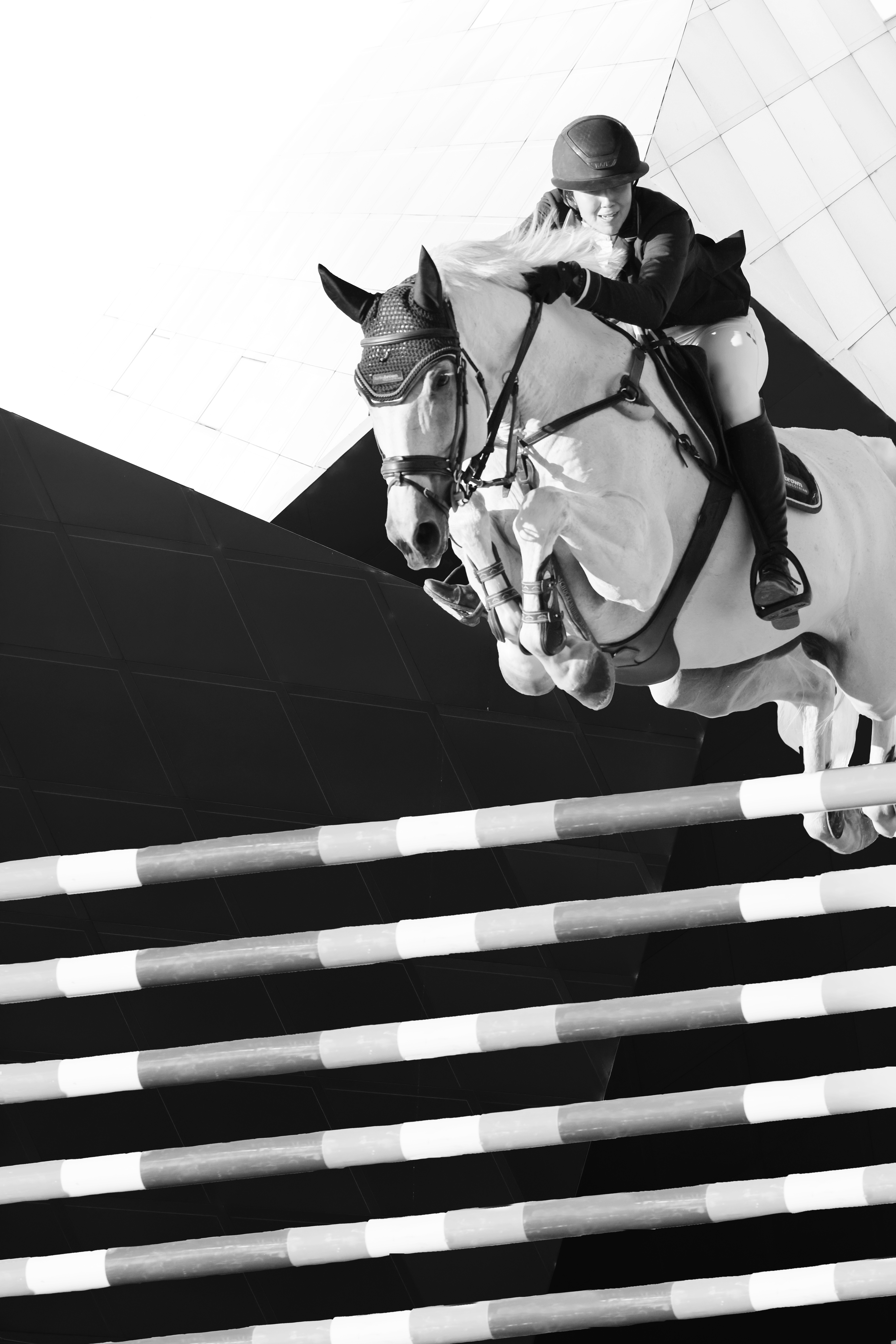 surreal HORSE art