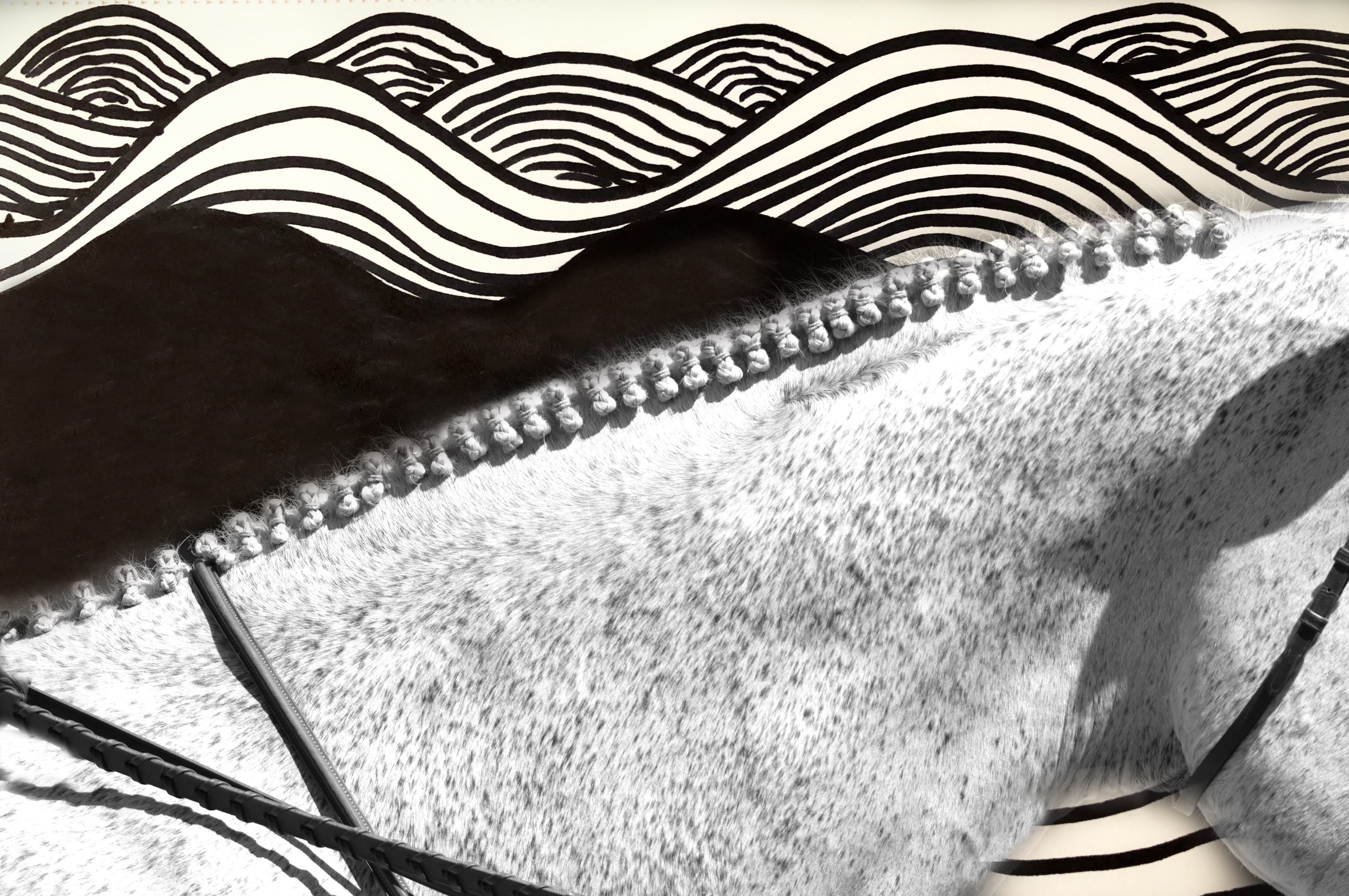 SURREAL HORSE MIXED MEDIA