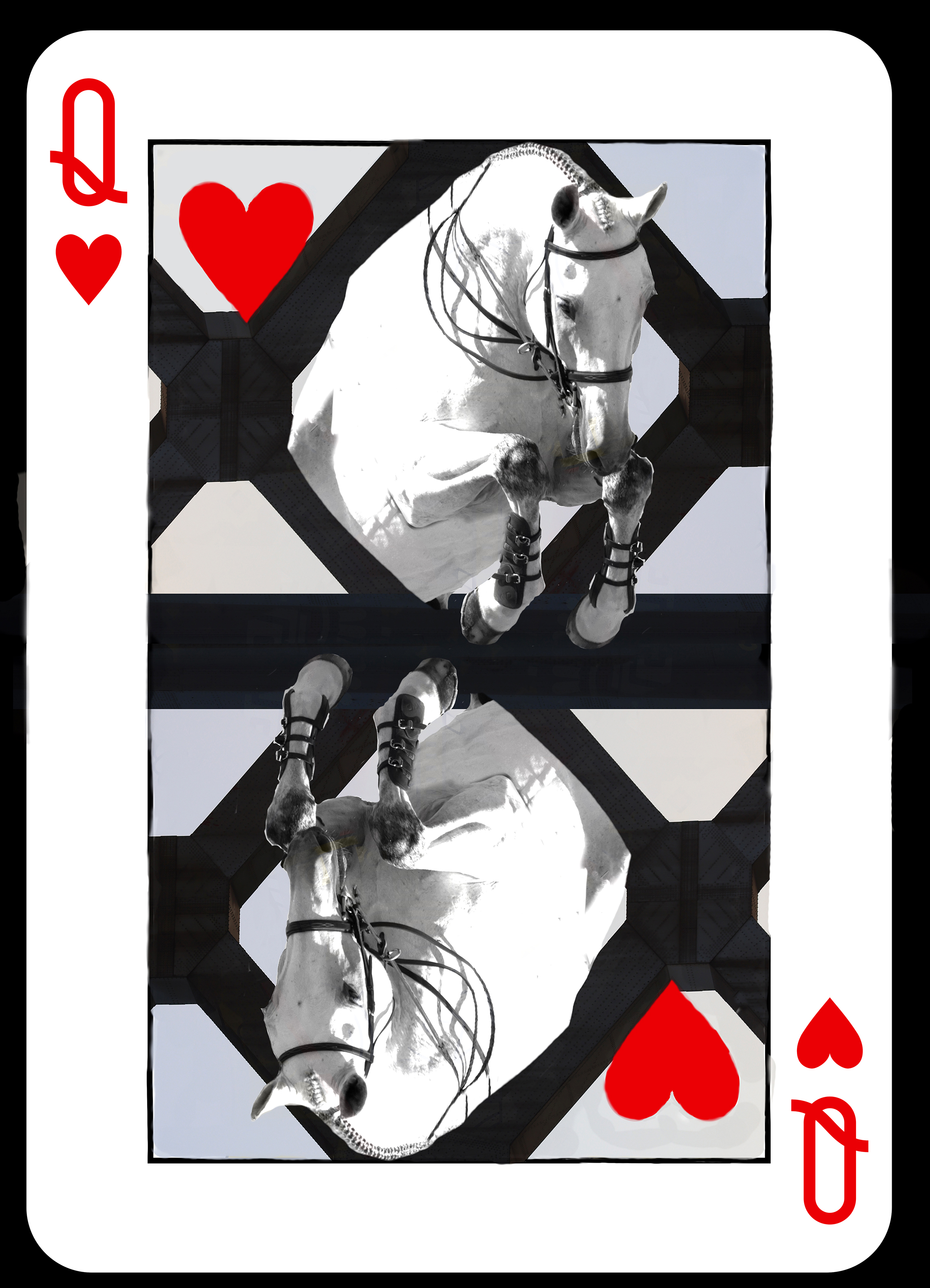 surreal horse art