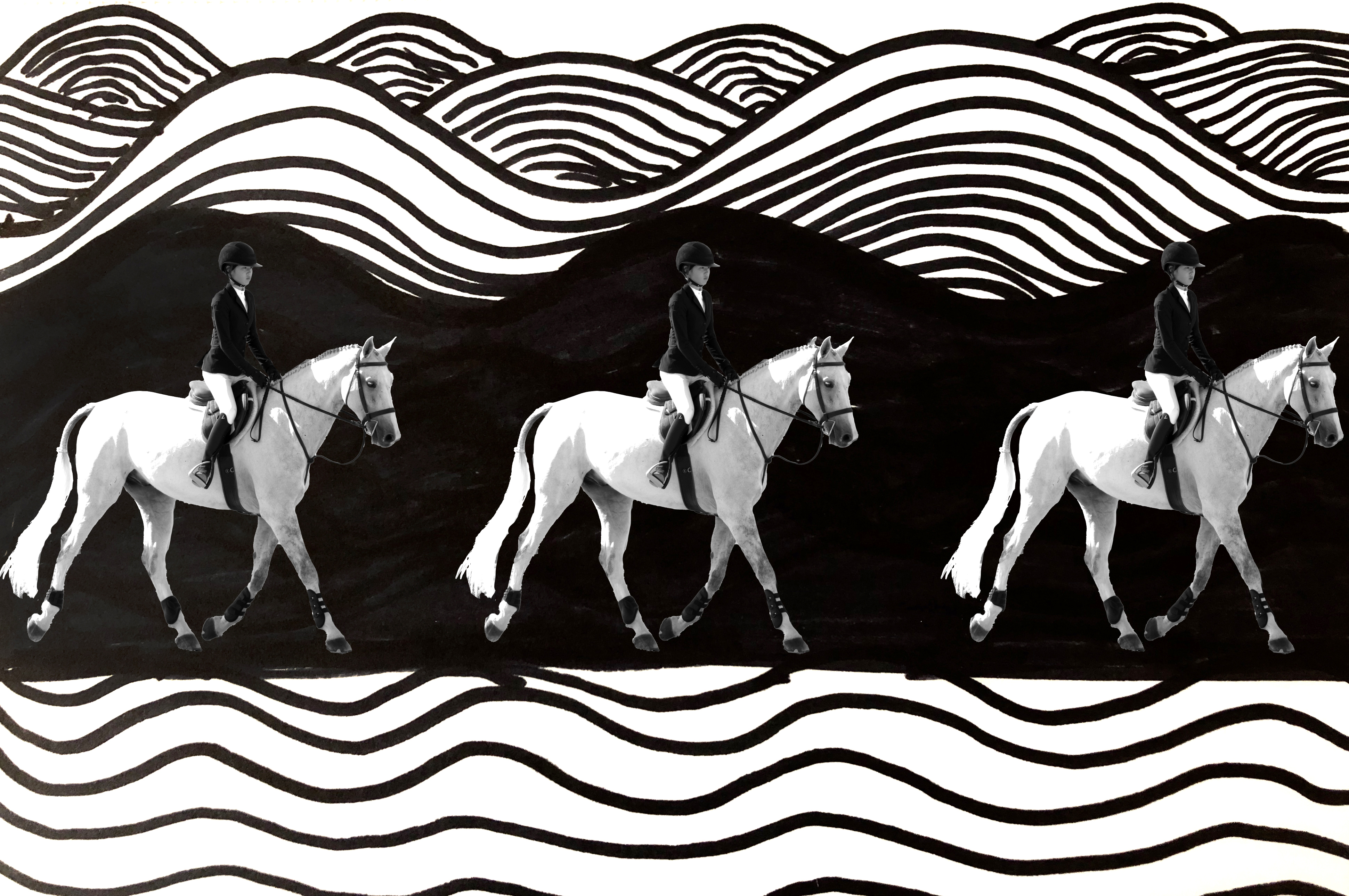 surreal horse art