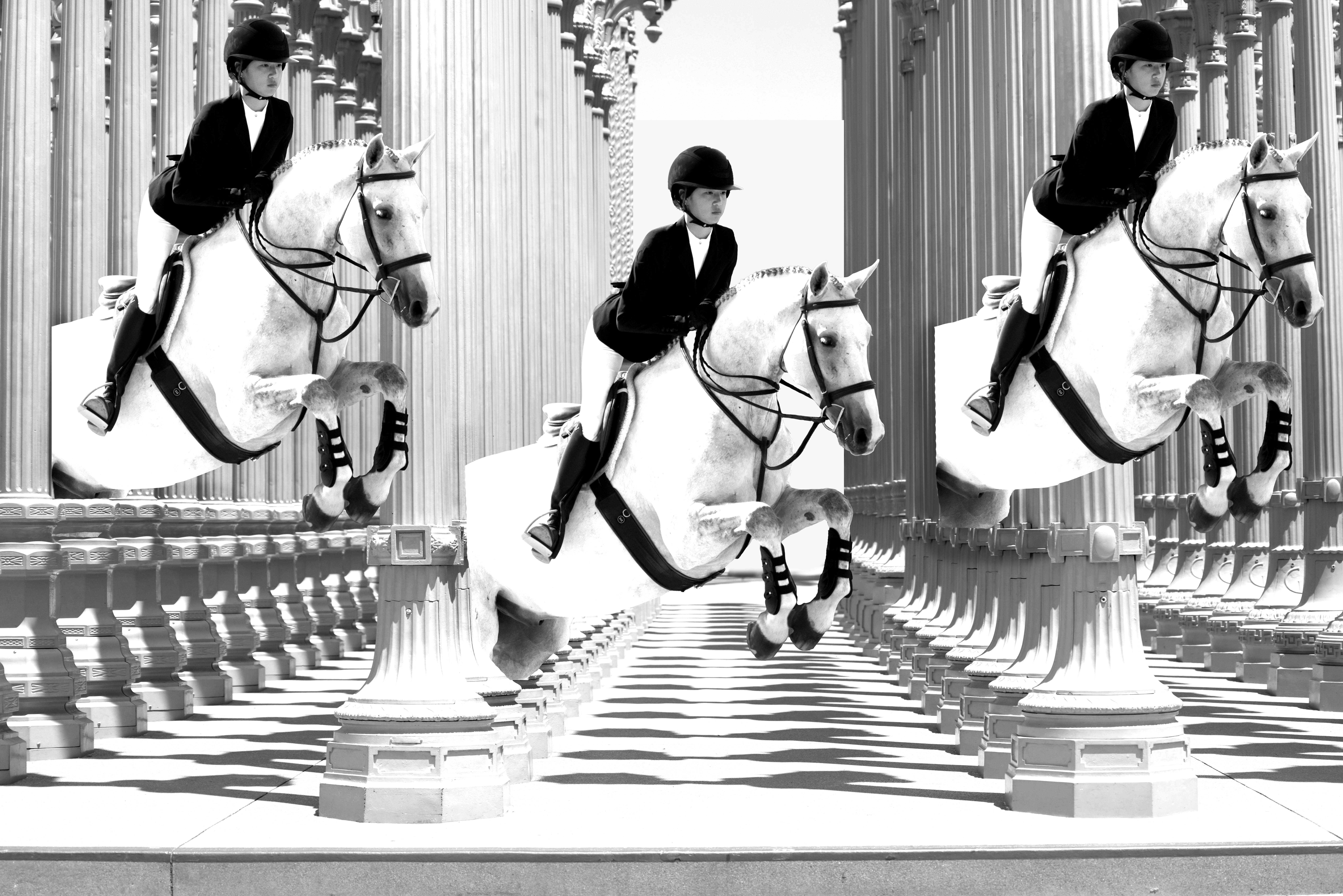 Photograph of white horses amid columns. 